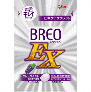 BREO-EX グレープミント 展開図